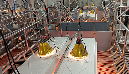 内蒙猪场IoT建设